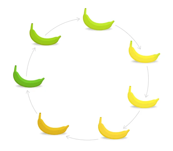 Round banan mognadsstadier diagram. Cirkulär färg graderingset plant. Mognads planbananer. Från grönt till gult och brunt. Animeringsperiod progression. — Stock vektor