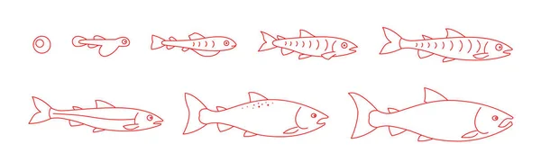 Ciclo de vida do Salmão Atlântico. Estágios de crescimento de peixes de salmão definido. Peixe Coho de ovo para fritar. Progressão de animação de aquicultura Sockeye. Delinear contorno linha vermelha . — Vetor de Stock