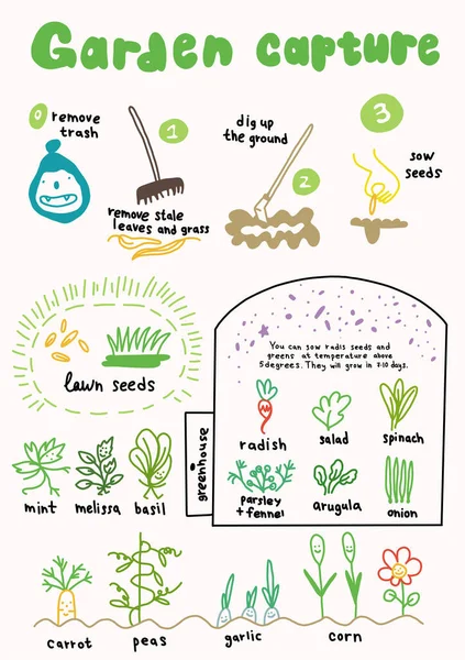 Tuin vangen groeiende planten. Zomer landhuis. Plantaardige tuinzaken. Zaden zaaien. Met de hand getekend. Een vectorposter. Cartoon illustratie voor infographic set. — Stockvector