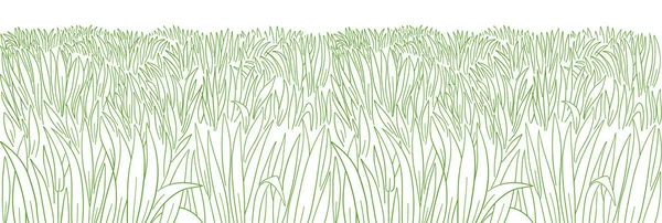 Herbe verte haute épaisseur prairie. Croissance de pelouse. Croquis dessiné à la main. Modèle sans couture fond de bannière horizontale. Ligne de contour vectoriel. — Image vectorielle