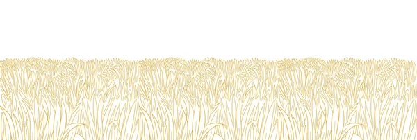 Campo seco. Amarillo prado de hierba gruesa. Césped naranja. Dibujo dibujado a mano. Fondo de banner horizontal. Línea de contorno vectorial. Copiar espacio. — Archivo Imágenes Vectoriales