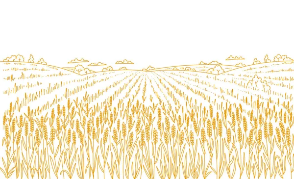 Agricoltura campo di grano. Schizzo disegnato a mano. Panorama del paesaggio rurale. Raccolta di cereali. Prato di erba secca. Linea vettoriale di contorno. Involucro di pane. Copia spazio. — Vettoriale Stock