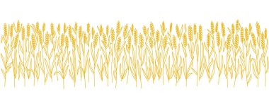 Buğday tarlası. Tarım gevreği hasadı. Ekmek kağıdı. Portakallı kuru çavdar otu. Uzayı kopyala Yatay pankart. El çizimi eskiz. Contour vektör çizgisi.