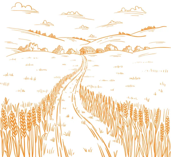 Camino de campo. Paisaje rural. Dibujo dibujado a mano. Campo de trigo. Pueblo de campo. Cosecha de cereales. Línea vectorial contorno. — Vector de stock