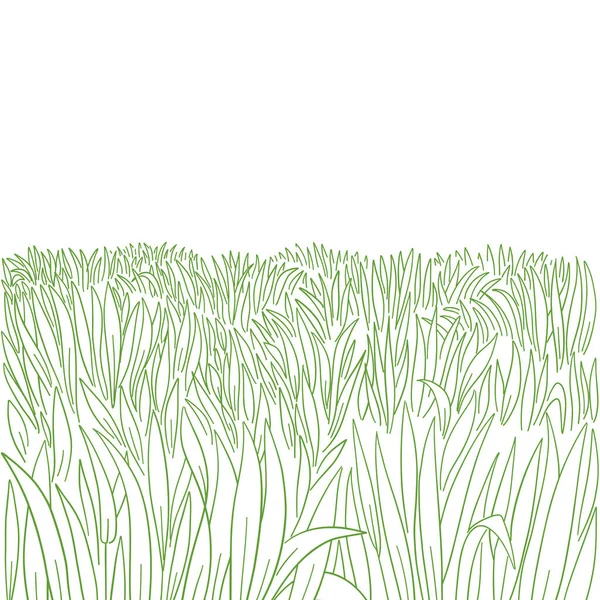 Prairie d'herbe verte. Grande croissance de pelouse épaisse. Croquis dessiné à la main. Contour vectoriel. Espace de copie. — Image vectorielle