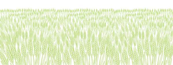 Champ de céréales. Feuilles et épis de blé. Paille agricole. Fond de bannière horizontale. prairie d'herbe verte. Ligne de vecteur de contour. Emballage de pain. — Image vectorielle