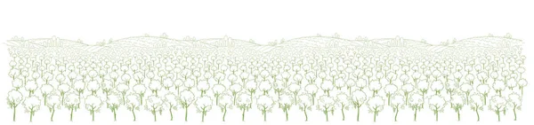 Desenho da paisagem da vinha. Plantação de uvas. Campo Panorama. Linha desenhada à mão. Rótulo. Cabeçalho do site. Bandeira horizontal longa. — Vetor de Stock