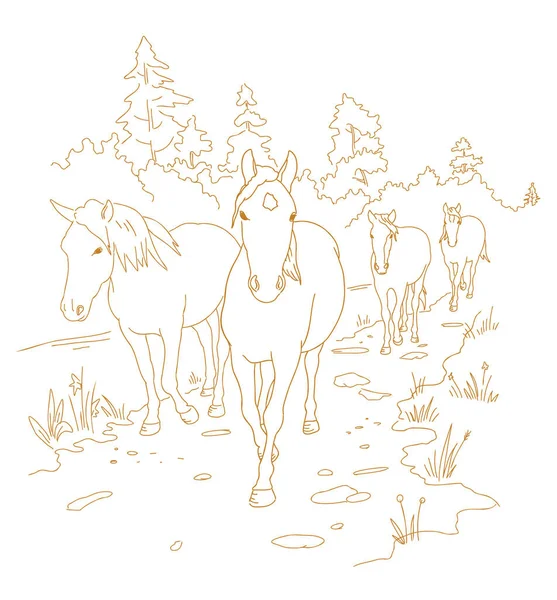 Los caballos están caminando por el sendero. Dibujo dibujado a mano. Uno tras otro. Camino del paisaje rural. Manada de caballos en el bosque. Ilustración vectorial. — Vector de stock