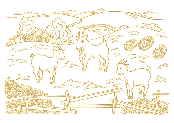 Goatling, yeanling farm is livestock. Three lambs in the barnyard. Hay fodder. Village rural countryside landscape. Rustic fence. Hand drawn cartoon sketch. Contour vector line. — Stock Vector