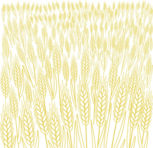 Campo di cereali. Orecchie di grano. Paglia agricola. Prato erboso giallo secco. Linea vettoriale di contorno arancione. Pane avvolgitore sfondo. — Vettoriale Stock