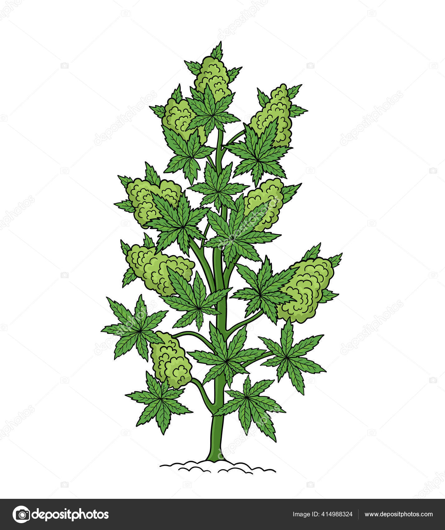 Hemp Tree Sketch Cannabis Indica Cannabis Ruderalis Or Chanvre Medicinal Plant Hand Drawn Botanical Vector Illustration Stock Vector Image By C Ilyakalinin