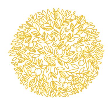 Arka planda yaprak ağacı deseni. Portakal ya da mandalina bırakır. Turuncu renk çizgisi. Çizim vektörü illüstrasyonu elle çizilmiş.