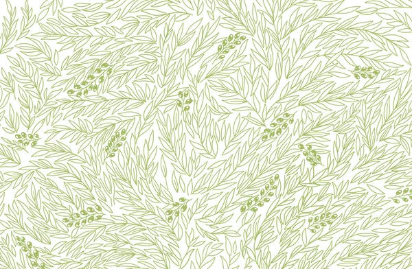 Azeitona folhagem padrão fundo. Empacotador de oliveiras. Folhas verdes contorno da linha. Ilustração vetorial desenhada à mão. — Vetor de Stock