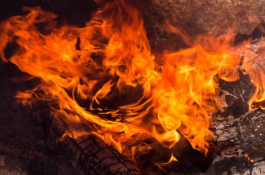 Izgarada dumanla yakılan şenlik ateşi. Kundakçılık ya da doğal afet. Şenlik ateşi yakın. Doğada ateş. Şenlik ateşi.