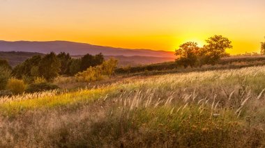 Goden yaz gün batımı doğa ağaçları