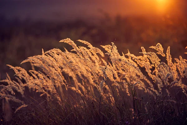 Sonnenuntergang Den Bergen Frühherbst — Stockfoto