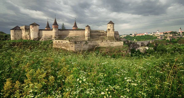 Alte Festung Kamenetz Podolsky Und Wilde Blumen Ukraine — Stockfoto