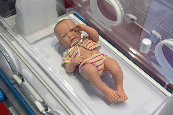 Gyermek Intenzív Inkubátorban Modell Szülészet — Stock Fotó