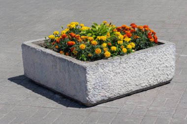 Taş urn marigolds bir şehir sokak ile kare. Kentsel