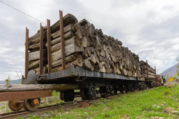 Logs Madeira Serrada Carro Uma Linha Bitola Estreita Dos Tempos — Fotografia de Stock