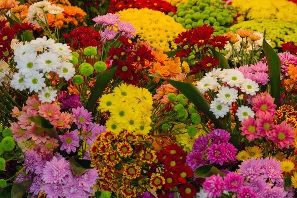 Various Colorful Flowers Sale Flower Shop Market — Stock Photo, Image