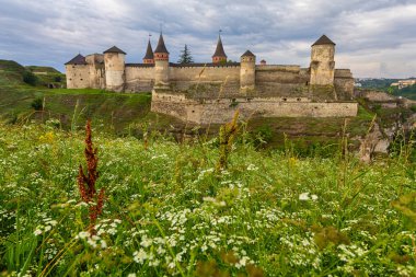 Antik kale Kamenetz Podolsky ve kır çiçekleri. Ukrayna
