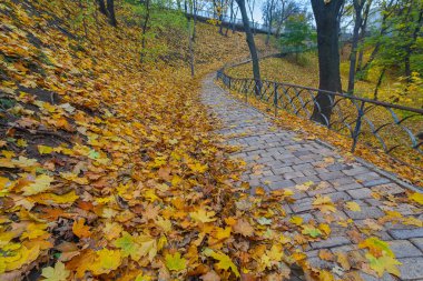 Küpeşte ve düşen yapraklar sonbaharda bir park olan yol