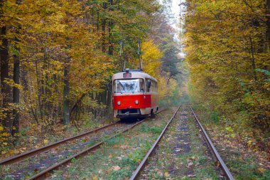 Kırmızı tramvay sonbahar ağaçlarının tünelinde seyahat. Kiev, Ukrayna