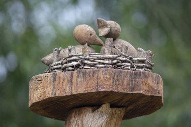 Civciv yuvada ahşap heykel