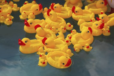 Birçok kauçuk sarı Oyuncak ördek çocuk havuzunda yüzen yakın çekim