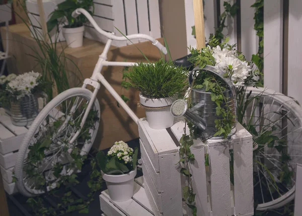 Regadera de flores de una bicicleta vieja. Paisaje del pueblo — Foto de Stock