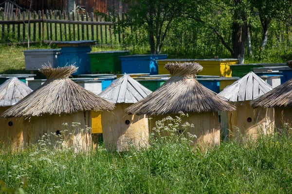 Houten retro bijenkorven in een boerderij. Carpathians, Oekraïne — Stockfoto