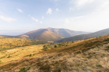 Güzel sonbahar dağ manzarası. Karpatlar, Ukrayna