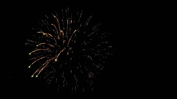 Colorful Firework display background at night