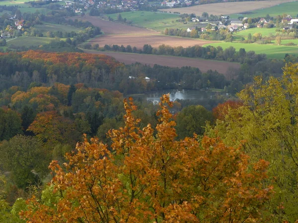 Natuur Herfst — Stockfoto