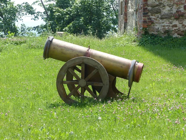 Arma Guerra Vieja Cañón — Foto de Stock