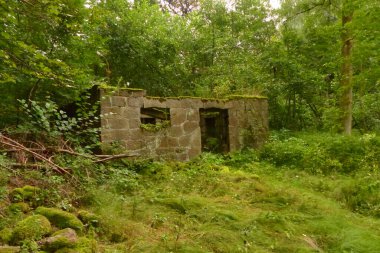 Ormanın ortasında eski, yanmış bir değirmen