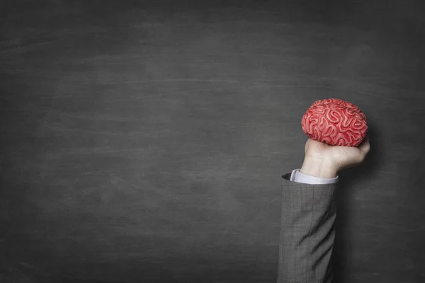 Businessman holding red toy brains — Stock Photo, Image