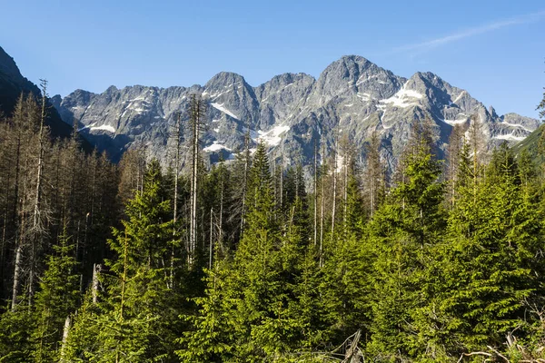 Pics Montagne Formant Une Belle Crête Habile Avec Col Montagne — Photo