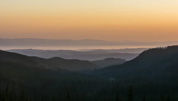 Brume Matinale Entre Les Crêtes Dessus Vallée Lever Soleil — Photo