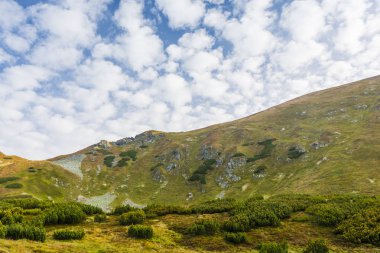 Dağ manzarası. Yumuşak çimenli eğimli yamaçları Batı Tatras.