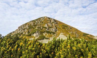 Çimenli yamaç, Batı Tatras sık görünümünde geçiş kayalar.