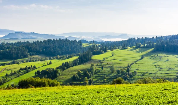 Ochtend Onder Bergen Groene Bossen Weilanden Uitlopers — Stockfoto