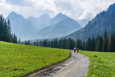 Lysa polana, Slovakya - 06 Eylül 2018: dağlarda yürüyüşe emekliler.