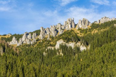 Crags - Mnichy Chocholowskie, Polonya'da Chocholowska Vadisi'nin karakteristik manzara. Kaya tepeler orman öne.