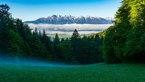 Poranna Mgła Nad Polaną Chmury Nad Doliną Nad Chmurami Wyłania — Zdjęcie stockowe