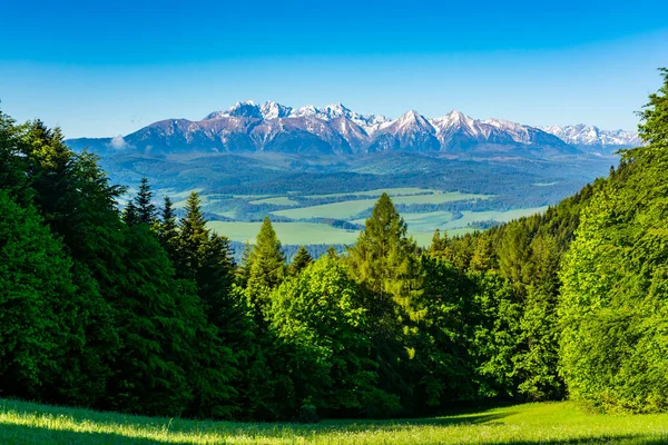 Весенний Вид Горы Самые Высокие Вершины Склоны Сих Пор Покрыты — стоковое фото