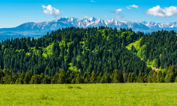 Idyllisch Landschap Van Heuvels Bergen Het Voorjaar — Stockfoto