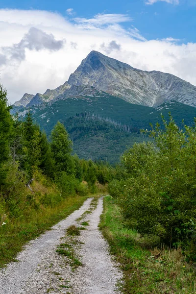 Forest Road Krivan Krywan Background Tatra Mountains Slovakia — Stock Photo, Image
