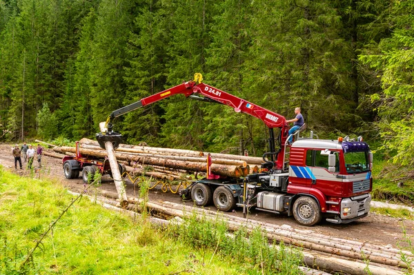 Kocielisko Polen September 2020 Lastning Træstammer Logs Skovvejen Til Transport Royaltyfrie stock-billeder
